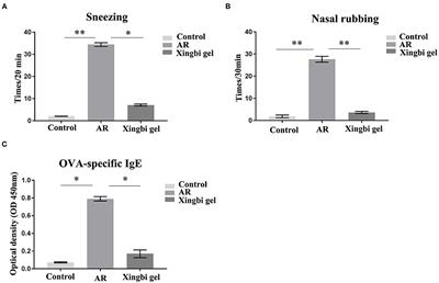 Xingbi Gel Ameliorates Allergic Rhinitis by Regulating IFN-γ Gene Promoter Methylation in CD4+ T Cells via the ERK-DNMT Pathway